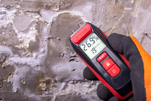 Crawl Space Mold Removal in Brickerville, PA
