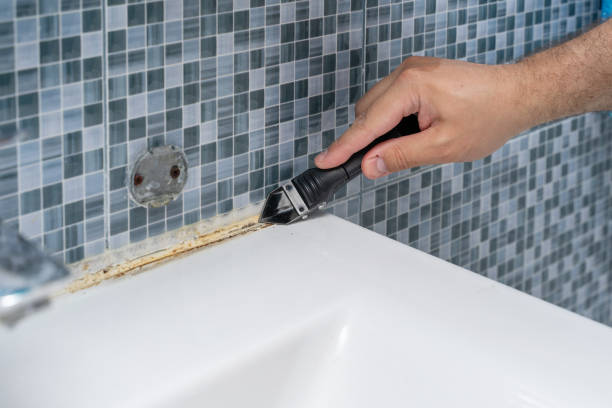 Best Same-Day Mold Removal  in Brickerville, PA