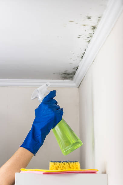 Best Crawl Space Mold Removal  in Brickerville, PA